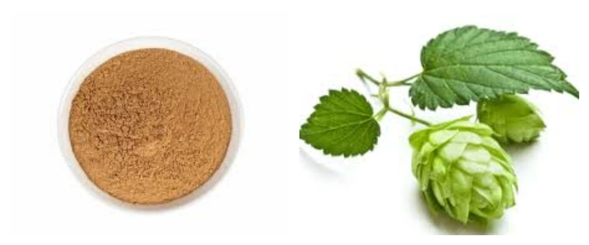 product-1-1 product-1-1