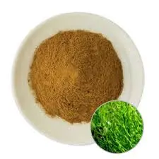 product-1-1 product-1-1