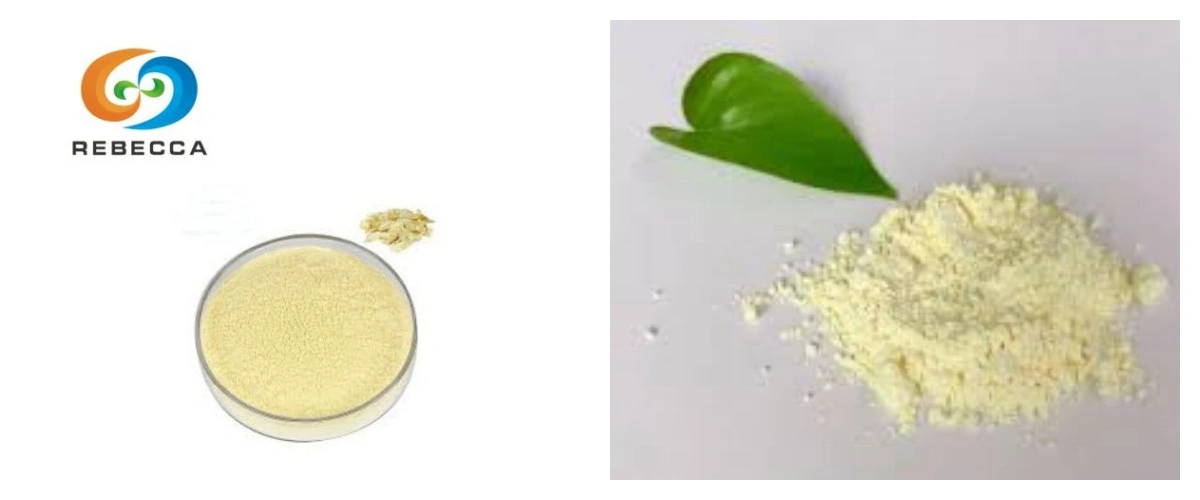 product-1-1 product-1-1