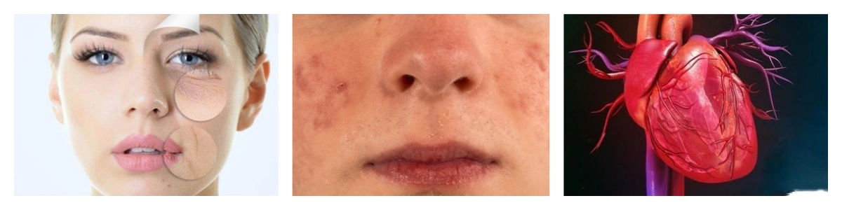 product-1-1 product-1-1