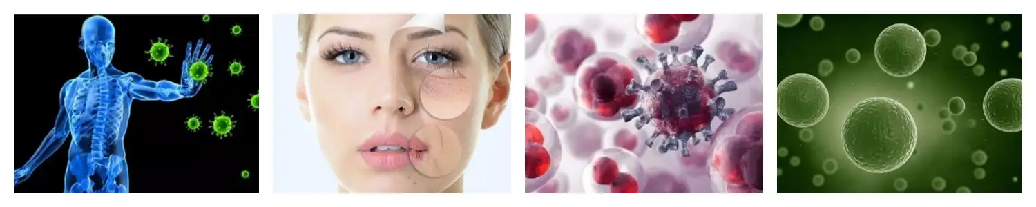 product-1-1 product-1-1