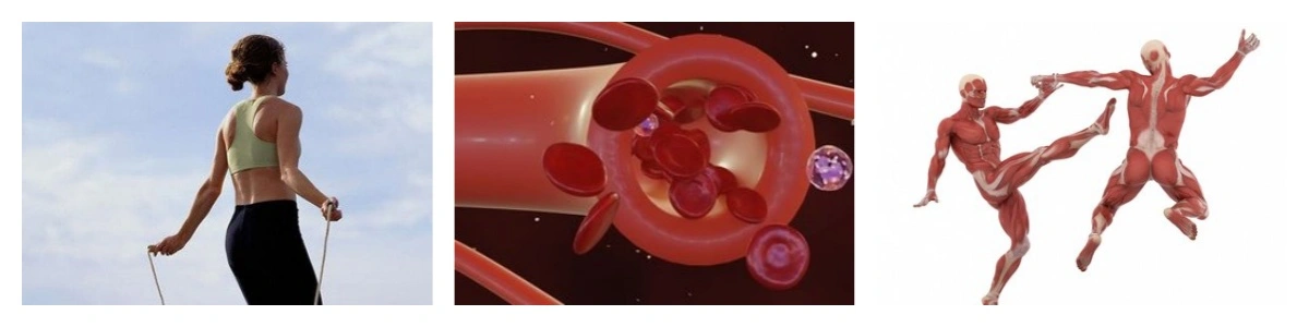 product-1-1 product-1-1