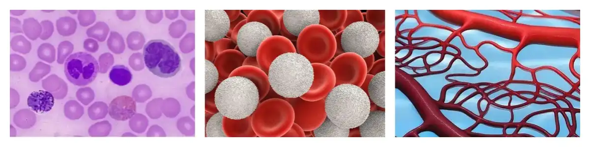 product-1-1 product-1-1