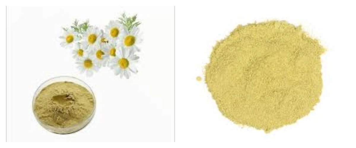 product-1-1 product-1-1