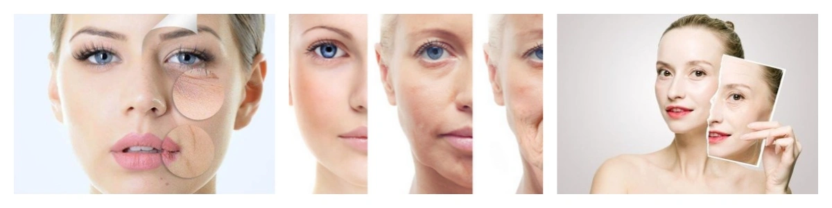 product-1-1 product-1-1