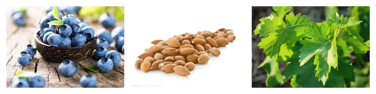 product-1-1 product-1-1