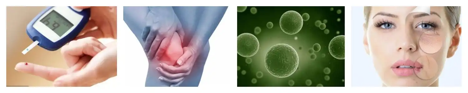 product-1-1 product-1-1