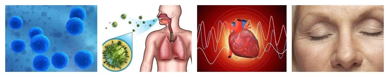 product-1-1 product-1-1