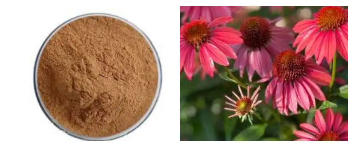 product-1-1 product-1-1