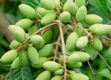 product-1-1 product-1-1