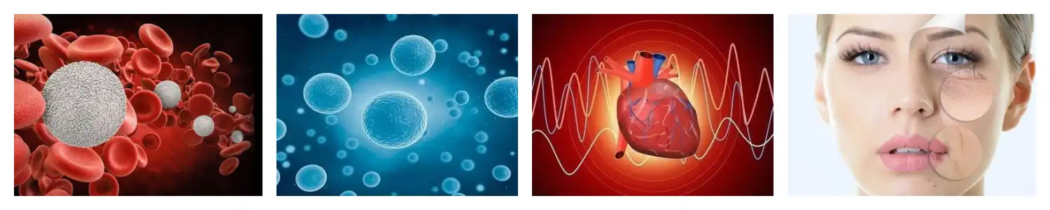 product-1-1 product-1-1