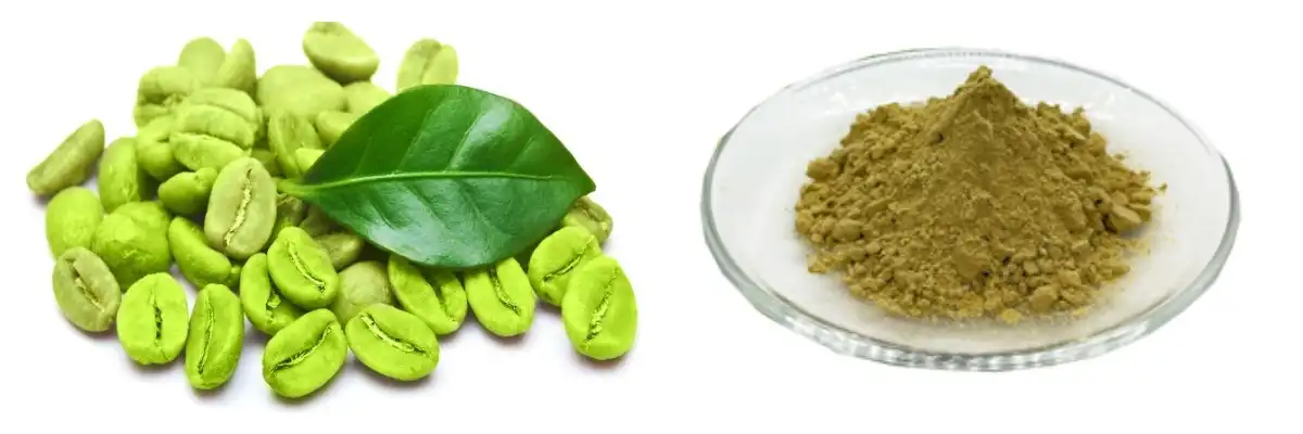 product-1-1 product-1-1