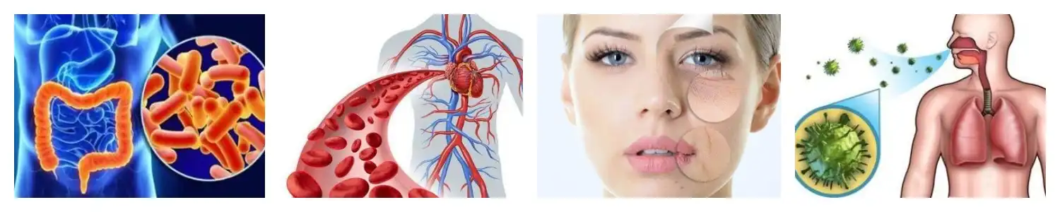 product-1-1 product-1-1