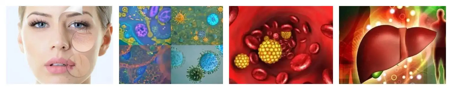 product-1-1 product-1-1