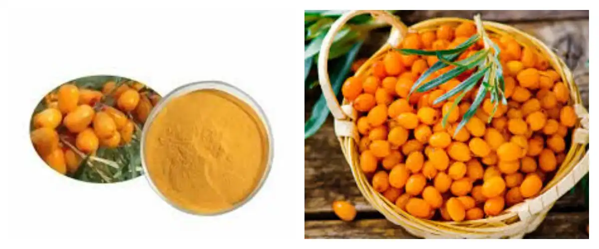 product-1-1 product-1-1