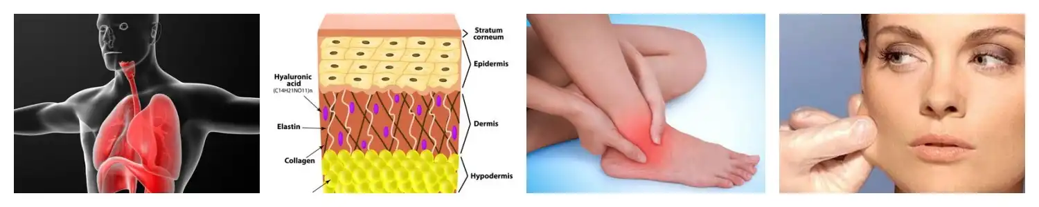 product-1-1 product-1-1