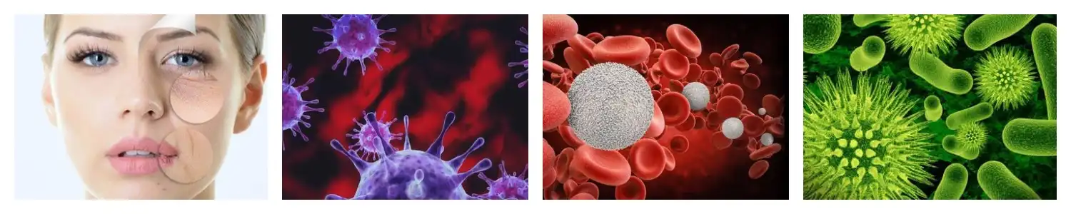 product-1-1 product-1-1