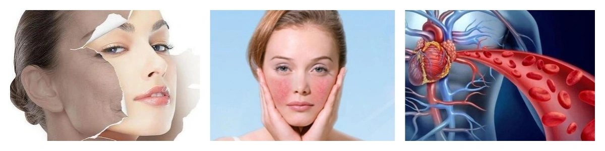 product-1-1 product-1-1