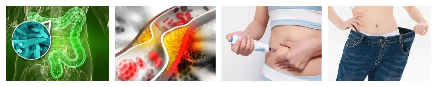 product-1-1 product-1-1