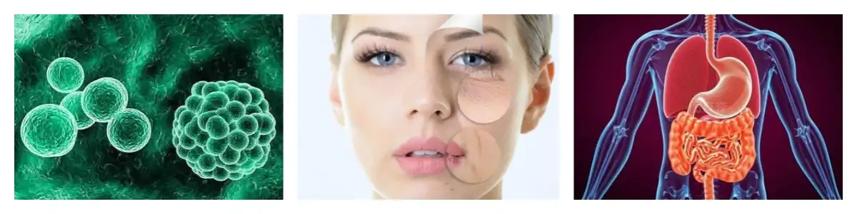 product-1-1 product-1-1