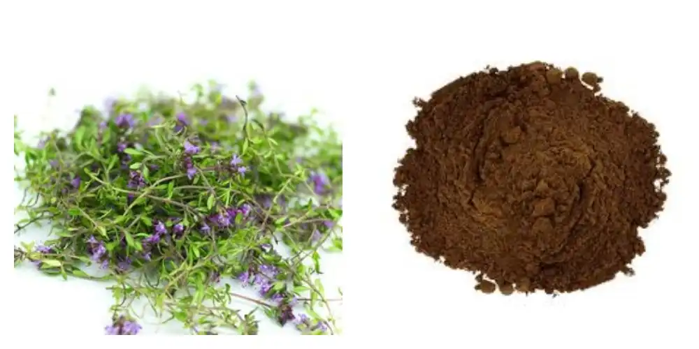 product-1-1 product-1-1