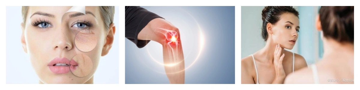 product-1-1 product-1-1