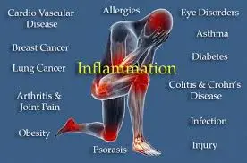 blog-276-182 blog-276-182