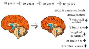 blog-302-167 blog-302-167