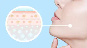 blog-299-168 blog-299-168