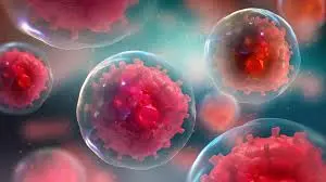 blog-300-168 blog-300-168