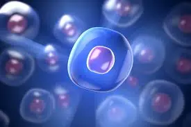 blog-275-183 blog-275-183