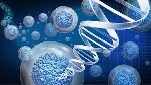 blog-300-168 blog-300-168