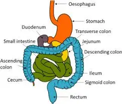 blog-243-208 blog-243-208