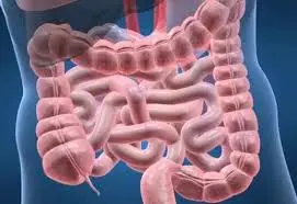 blog-271-186 blog-271-186