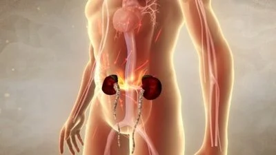 blog-400-225 blog-400-225