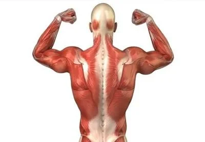 blog-400-276 blog-400-276