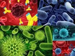 product-1-1 product-1-1