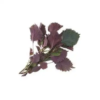 product-1-1 product-1-1