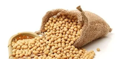 product-400-200