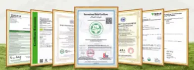 product-392-142 product-392-142