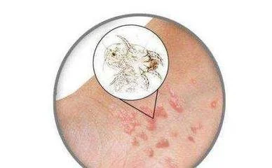 product-388-240 product-388-240