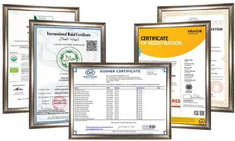 product-480-289 product-480-289