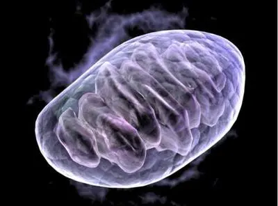 blog-400-296 blog-400-296