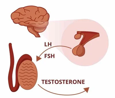 blog-400-343 blog-400-343