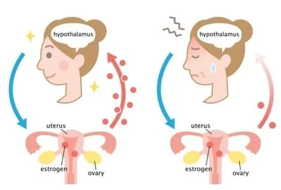 blog-400-271 blog-400-271