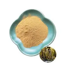 blog-225-225 blog-225-225