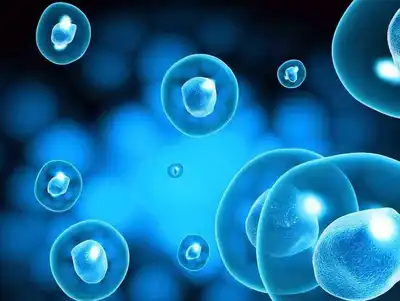 blog-400-301 blog-400-301