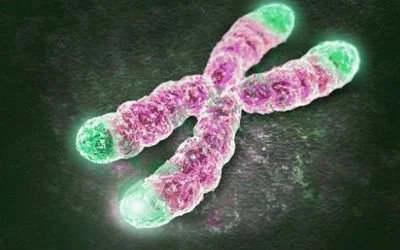 blog-400-250 blog-400-250