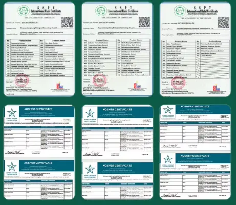 product-461-400 product-461-400