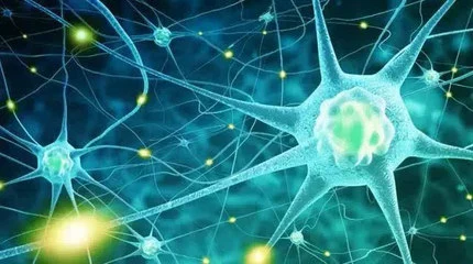 blog-430-240 blog-430-240